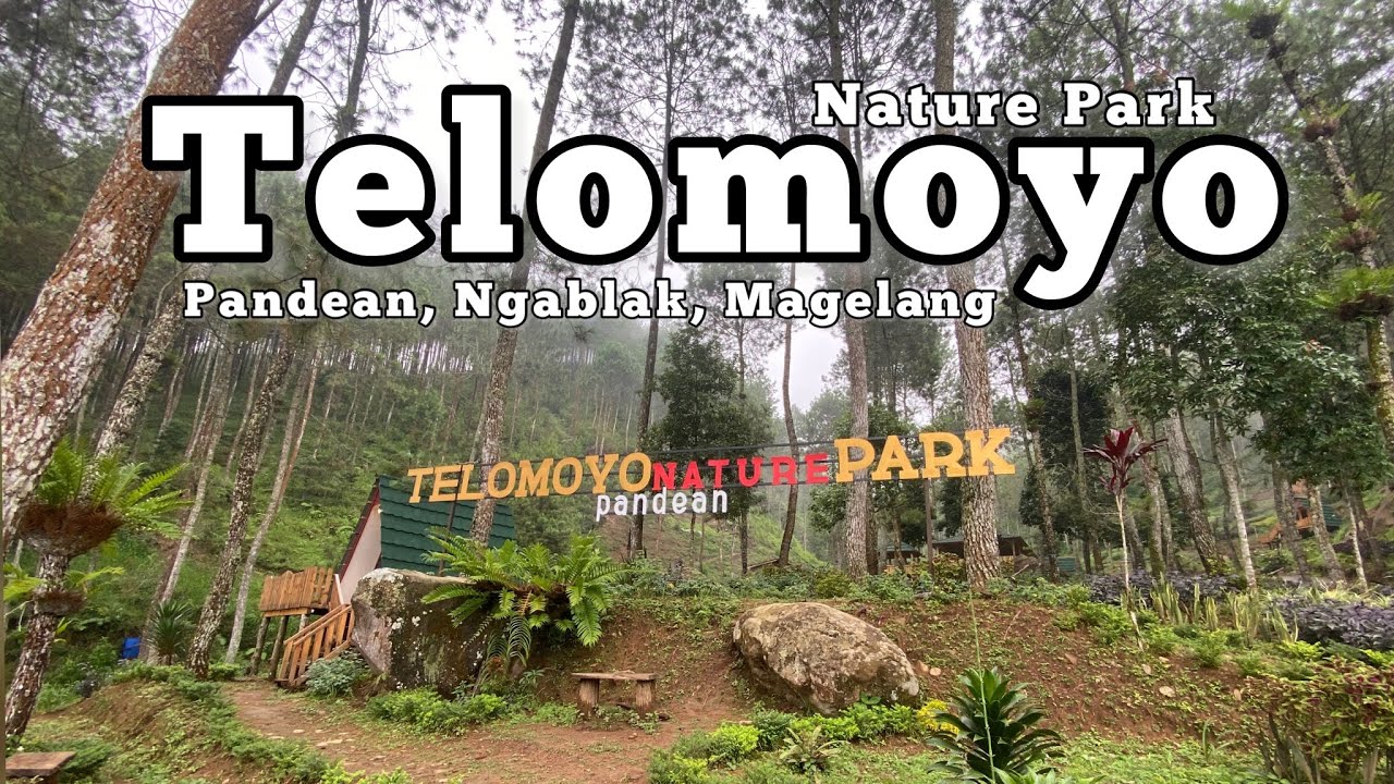 Telomoyo Nature Park: Surga Tersembunyi di Lereng Gunung Merbabu